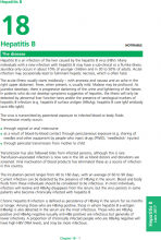 Hepatitis B: the green book, chapter 18